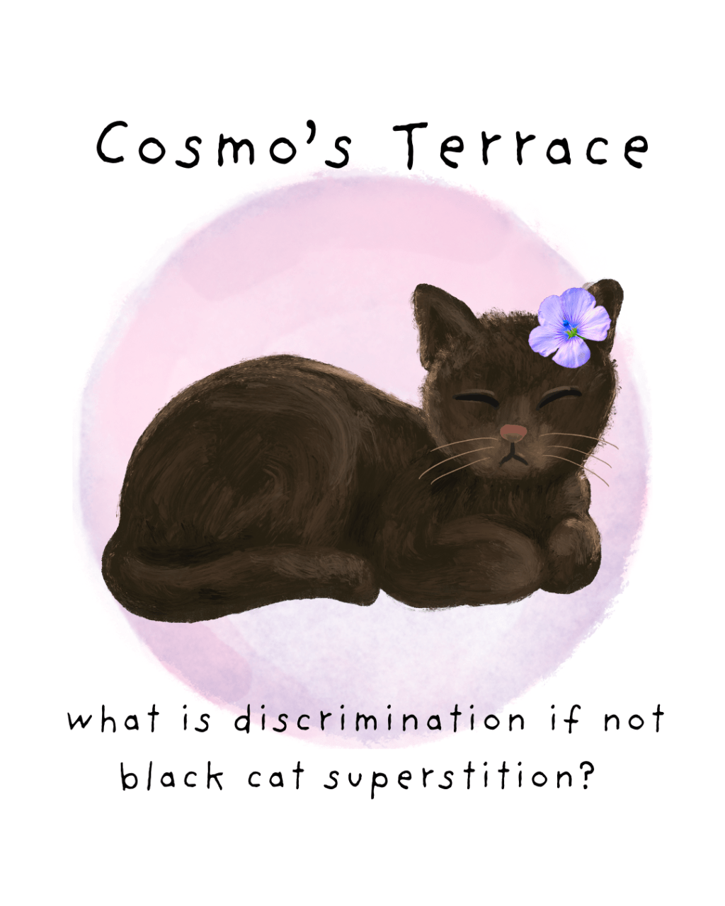 cosmo’s terrace: what cats taught me about territory and&nbsp;immigration
